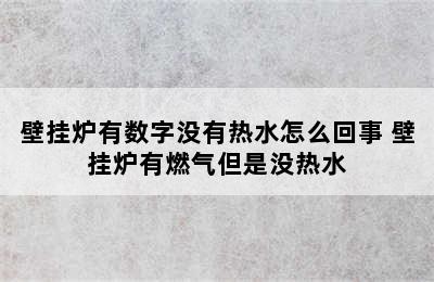 壁挂炉有数字没有热水怎么回事 壁挂炉有燃气但是没热水